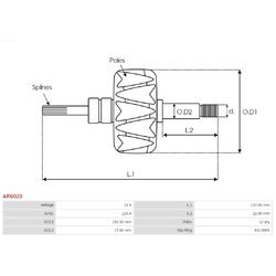 Rotor alternátora AS-PL AR6020 - obr. 1