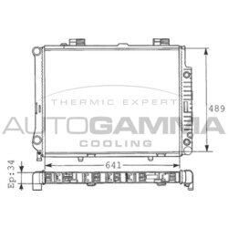 Chladič motora AUTOGAMMA 100555