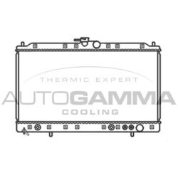 Chladič motora AUTOGAMMA 103489