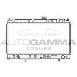 Chladič motora AUTOGAMMA 103962