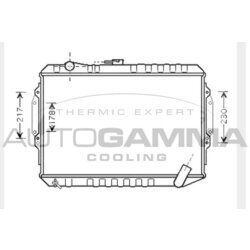Chladič motora AUTOGAMMA 104548