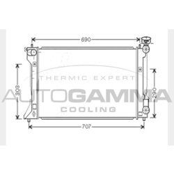 Chladič motora AUTOGAMMA 104569
