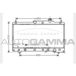 Chladič motora AUTOGAMMA 104744