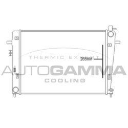 Chladič motora AUTOGAMMA 107375
