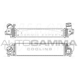 Chladič plniaceho vzduchu AUTOGAMMA 110014