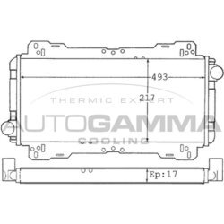 Chladič motora AUTOGAMMA 100334