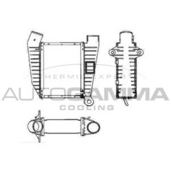 Chladič plniaceho vzduchu AUTOGAMMA 101937