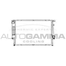 Chladič motora AUTOGAMMA 101982