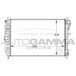 Chladič motora AUTOGAMMA 102129