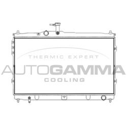 Chladič motora AUTOGAMMA 107391