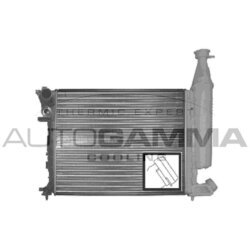 Chladič motora AUTOGAMMA 100155