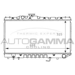 Chladič motora AUTOGAMMA 101012