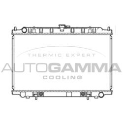 Chladič motora AUTOGAMMA 103503