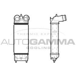 Chladič plniaceho vzduchu AUTOGAMMA 105888