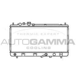 Chladič motora AUTOGAMMA 105563