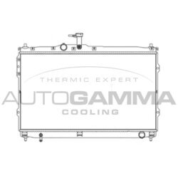 Chladič motora AUTOGAMMA 107392