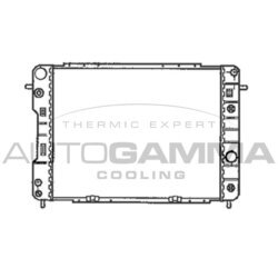 Chladič motora AUTOGAMMA 102259