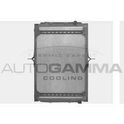 Chladič motora AUTOGAMMA 404594