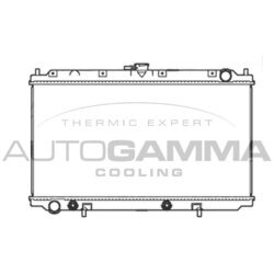 Chladič motora AUTOGAMMA 102196