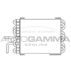 Chladič motora AUTOGAMMA 104177