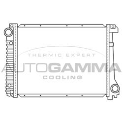 Chladič motora AUTOGAMMA 100103