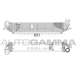 Chladič plniaceho vzduchu AUTOGAMMA 105097