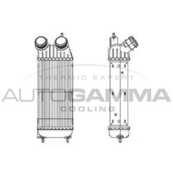 Chladič plniaceho vzduchu AUTOGAMMA 105222