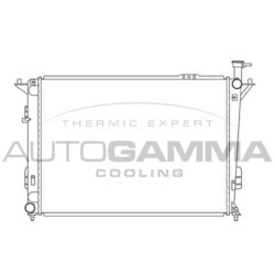 Chladič motora AUTOGAMMA 105841