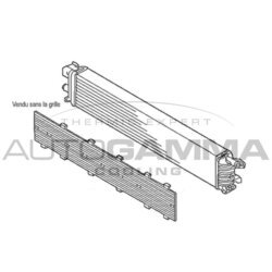 Chladič motora AUTOGAMMA 107565