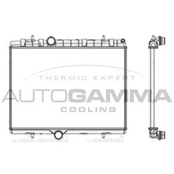 Chladič motora AUTOGAMMA 107624