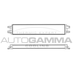 Chladič motorového oleja AUTOGAMMA 305300