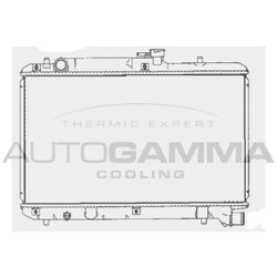 Chladič motora AUTOGAMMA 102324