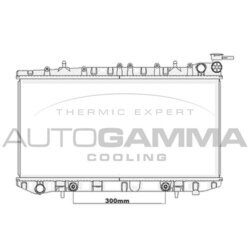 Chladič motora AUTOGAMMA 105653
