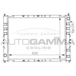 Chladič motora AUTOGAMMA 100925