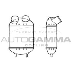 Chladič plniaceho vzduchu AUTOGAMMA 101476