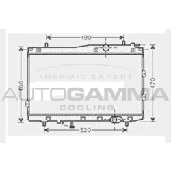Chladič motora AUTOGAMMA 104595