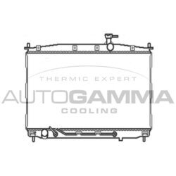 Chladič motora AUTOGAMMA 104644