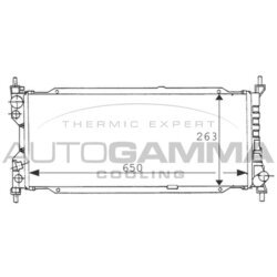 Chladič motora AUTOGAMMA 100675