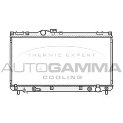 Chladič motora AUTOGAMMA 107063