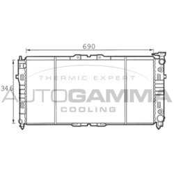 Chladič motora AUTOGAMMA 100501