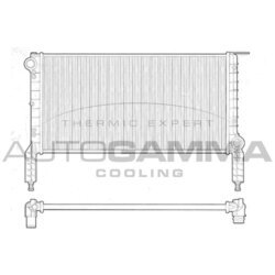 Chladič motora AUTOGAMMA 102963