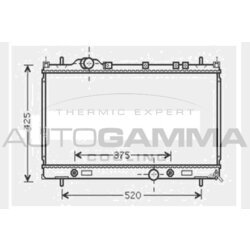 Chladič motora AUTOGAMMA 104632