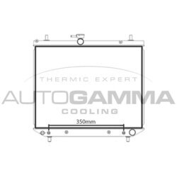Chladič motora AUTOGAMMA 107975