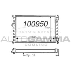 Chladič motora AUTOGAMMA 100950