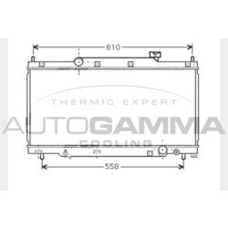 Chladič motora AUTOGAMMA 104319
