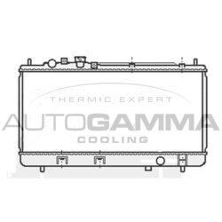 Chladič motora AUTOGAMMA 107038