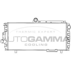 Chladič motora AUTOGAMMA 100001