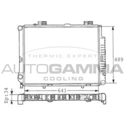 Chladič motora AUTOGAMMA 100554