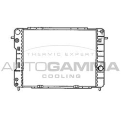 Chladič motora AUTOGAMMA 102256