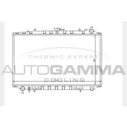 Chladič motora AUTOGAMMA 104312
